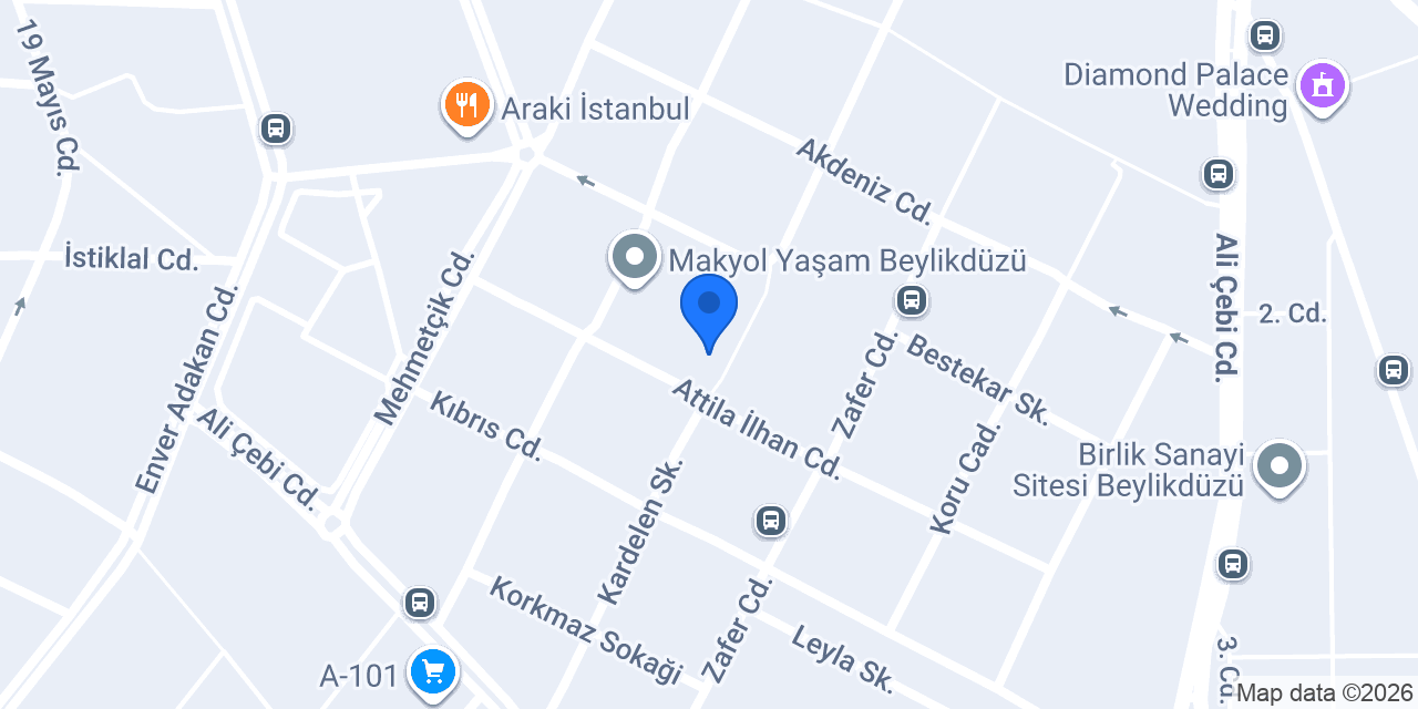 SALTUK BÖREK konumu