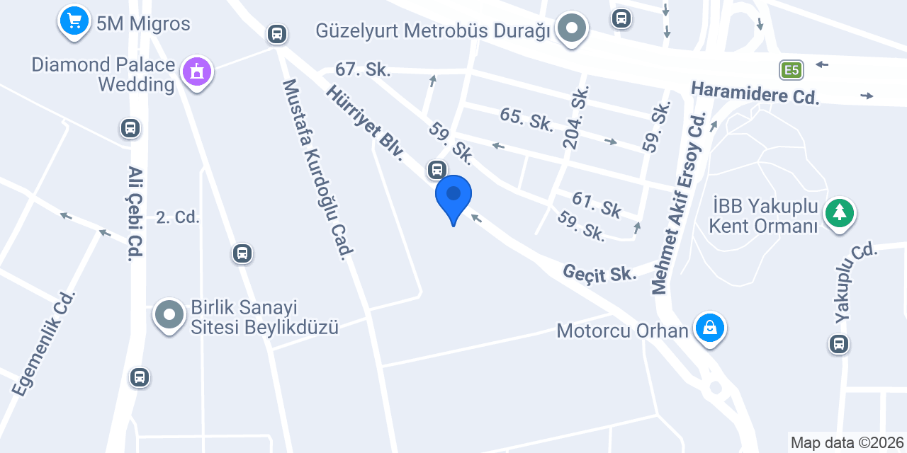 LingoZet konumu