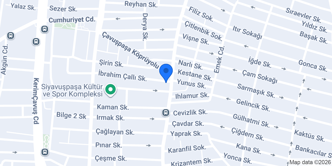 Salon Mehmet konumu