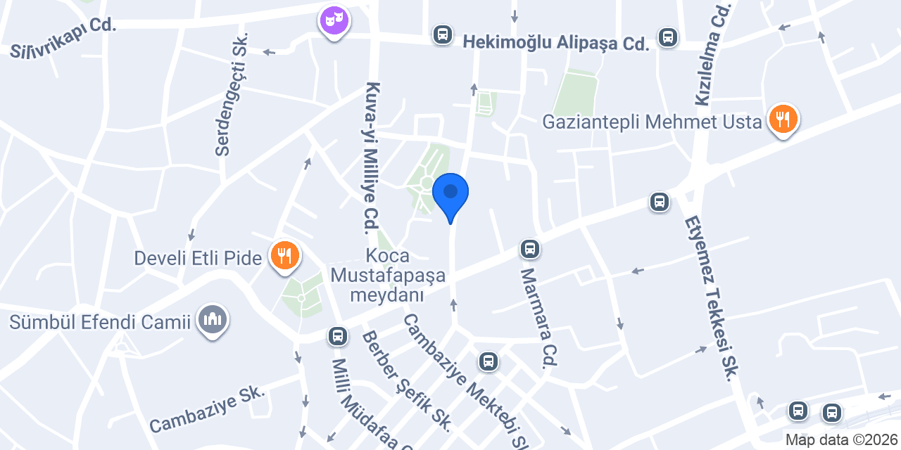 orthocenter ortopedi konumu