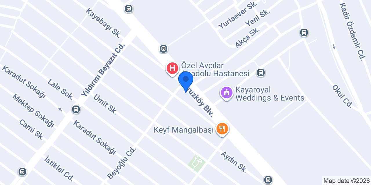 CAN HAYDAR USTA konumu