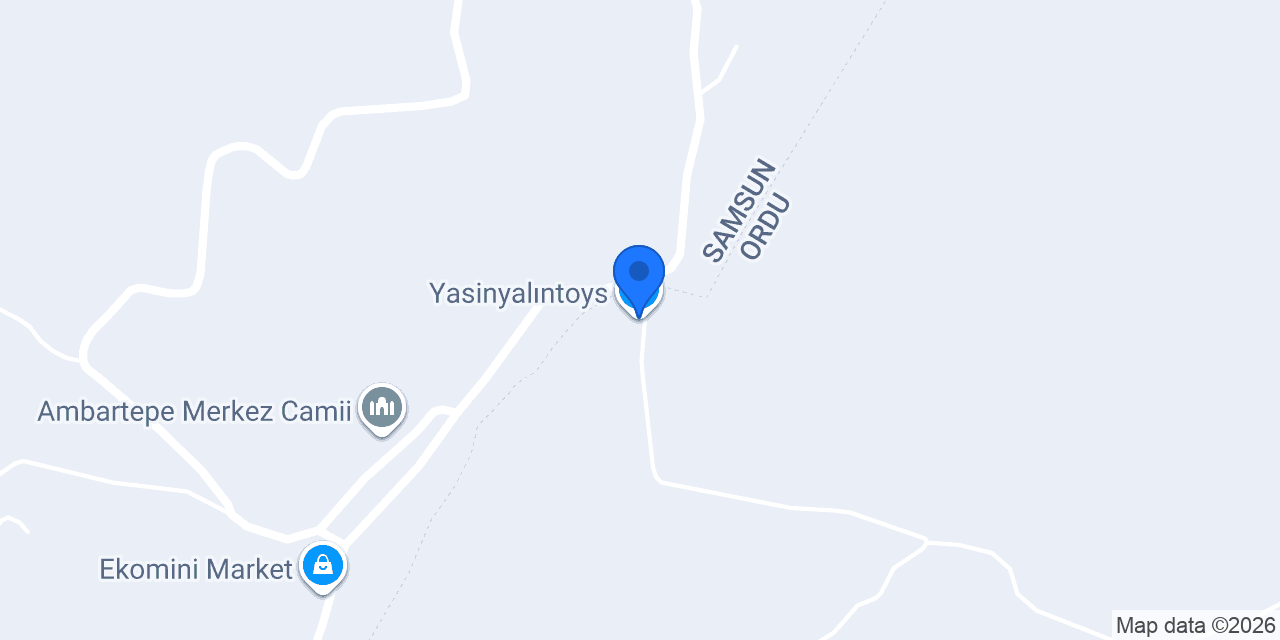 Yasinyalıntoys konumu