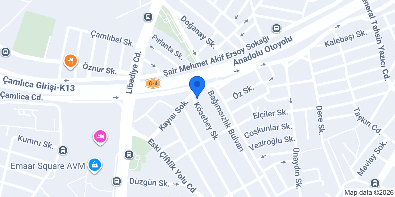 Elly Concept Özel Tasarım Halı Patchwork konumu