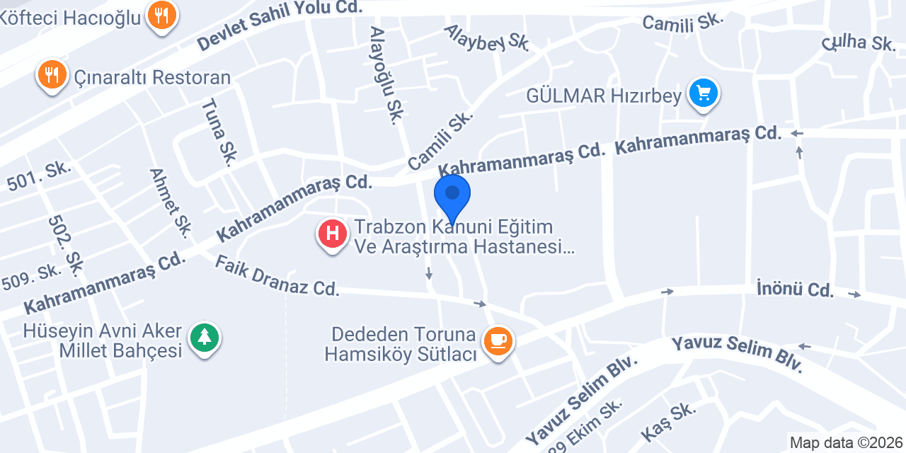 100.yıl ilkokulu konumu