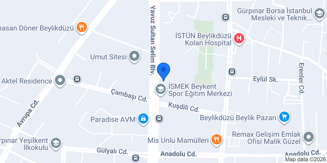 Şok konumu