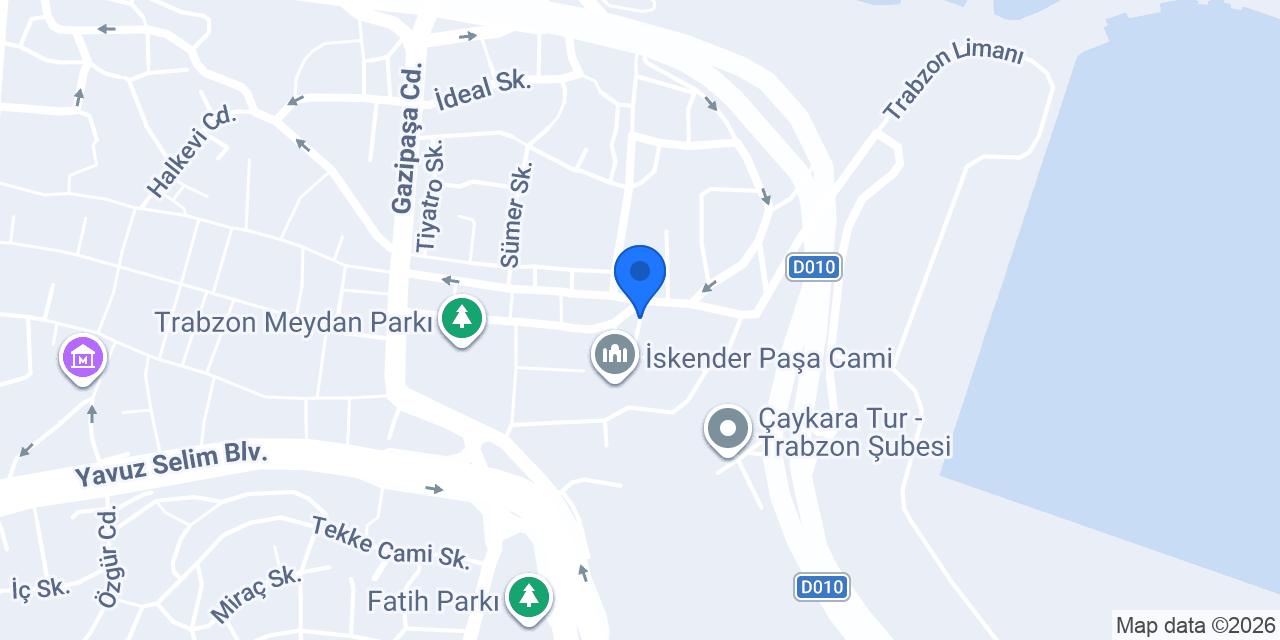 extra property trabzon konumu