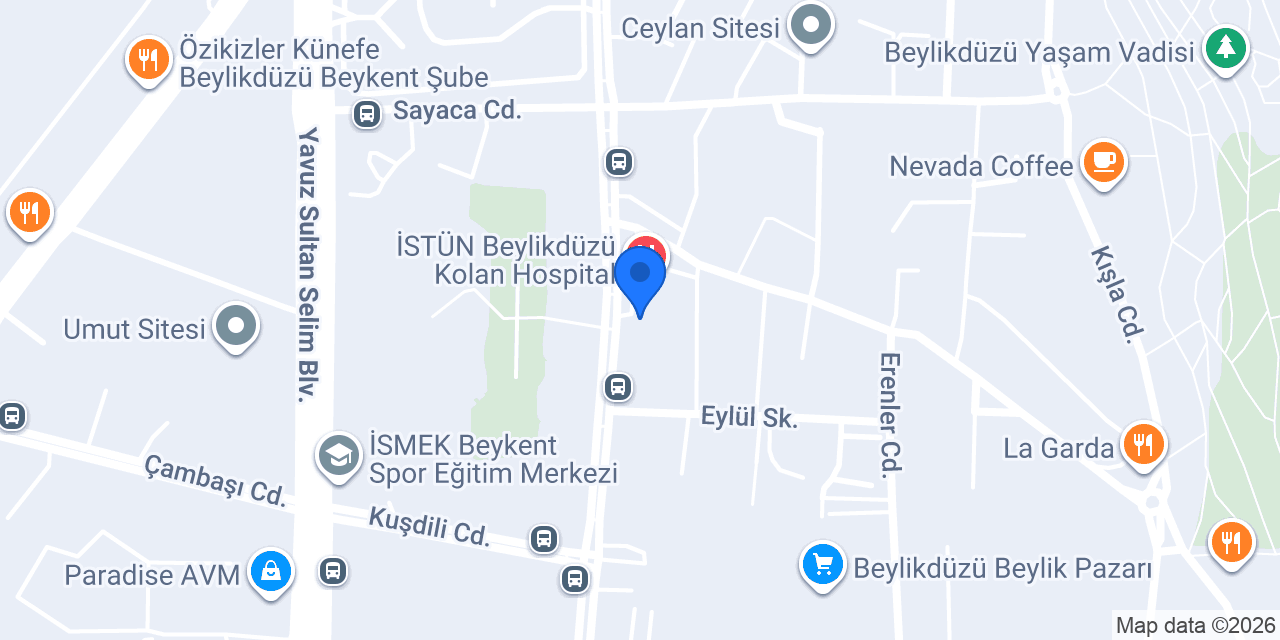 Dr. Kaplan Baha Temizgönül konumu