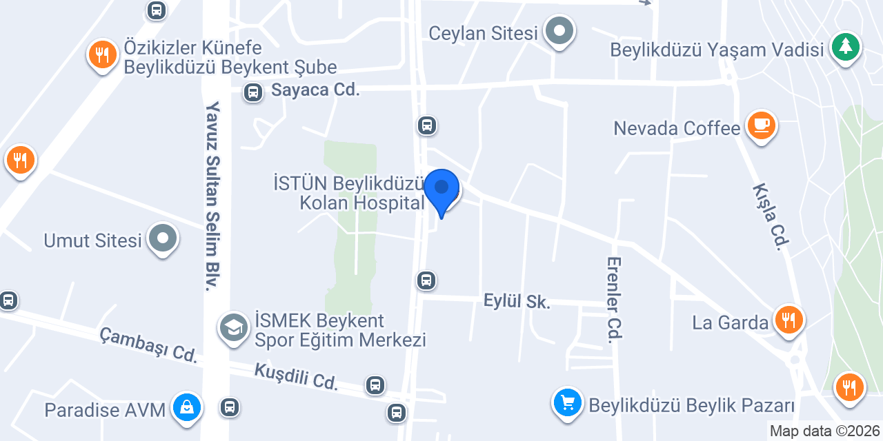 Yrd. Doç. Dr. Turgut Yüksel konumu