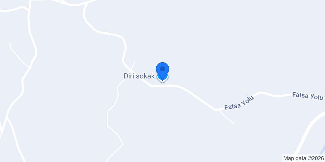 Diri sokak konumu