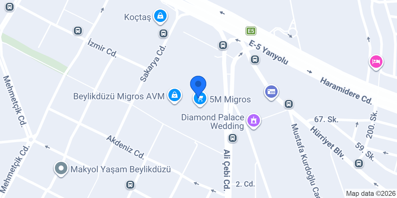 Ece Gumus konumu