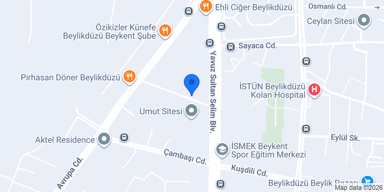 Viridian Karadeniz Pide konumu