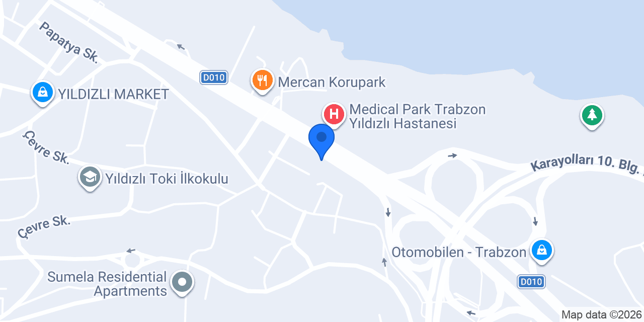 Dila Su Organizasyon konumu