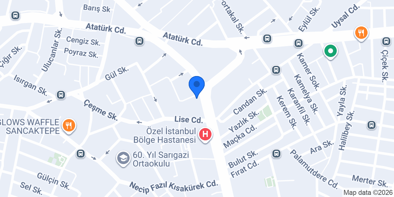 Mavi Psikolojik Danışmanlık konumu