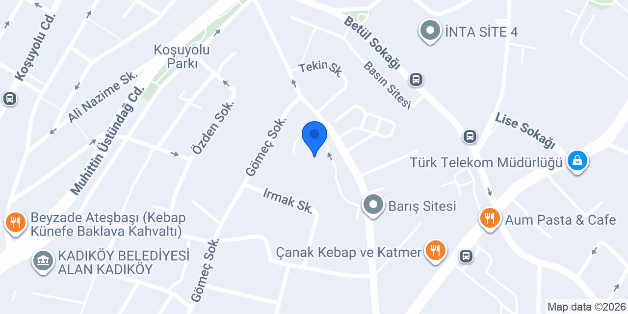 Prof. Dr. Selami Çakmak konumu
