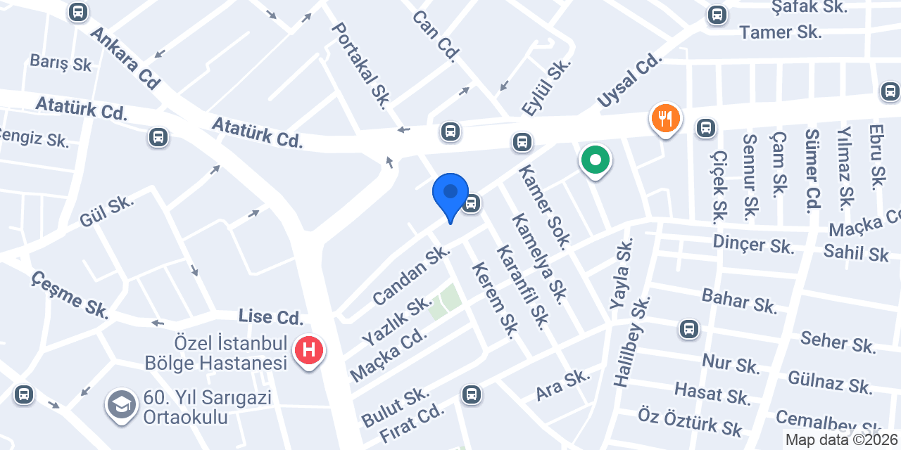 Boyraz oto lastik konumu