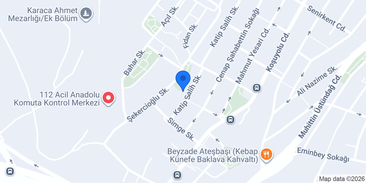 ALESTA MD konumu