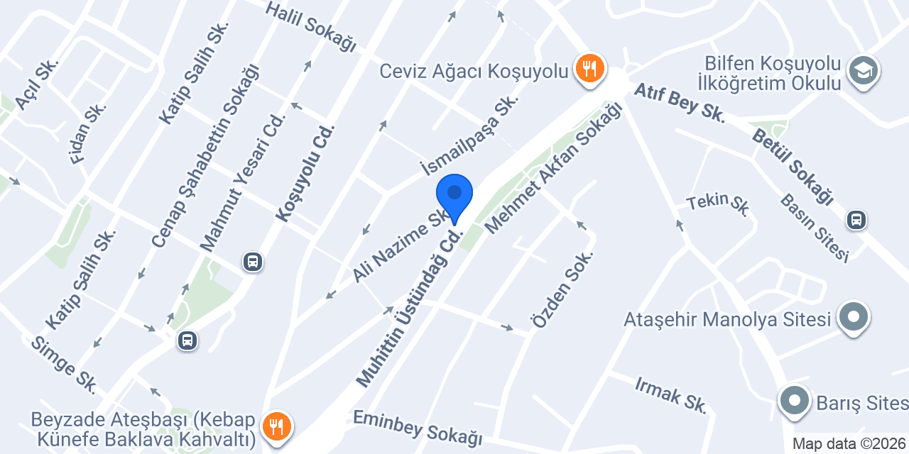 Roka Balık konumu
