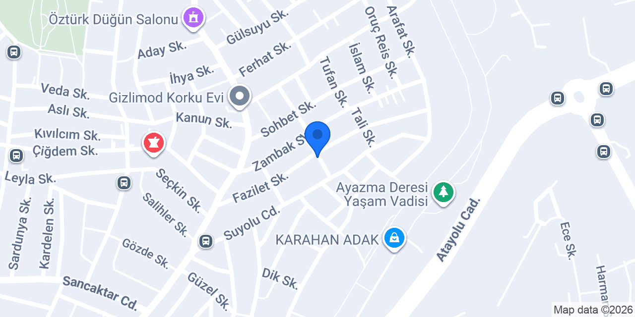 Öztemiz Halı Yıkama konumu