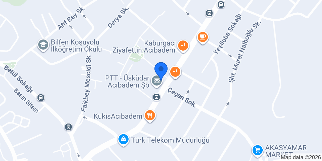 Acibadem Petshop konumu
