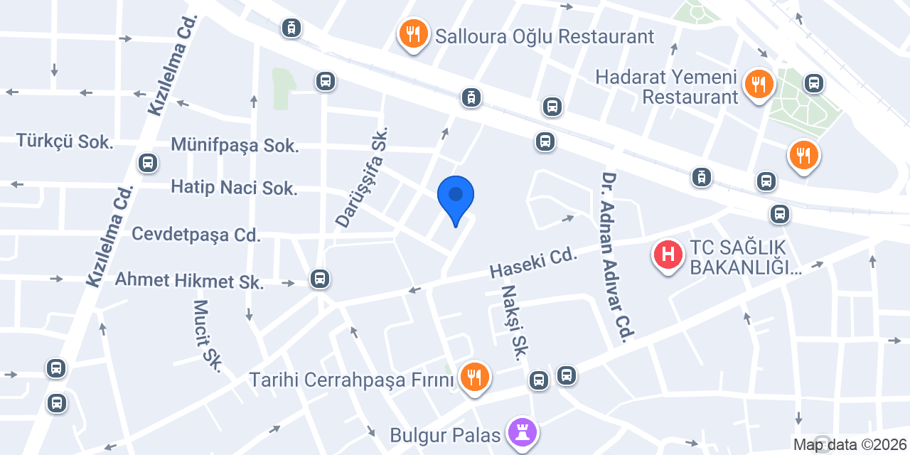 Doç. Dr. Ali Nejat Eğilmez konumu