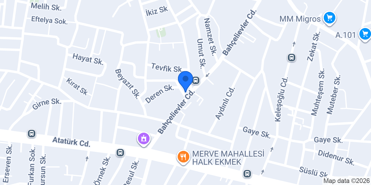 Erva yapı konumu