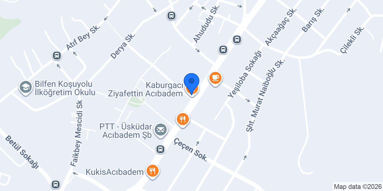 DEDEM ECZANESİ ACIBADEM konumu