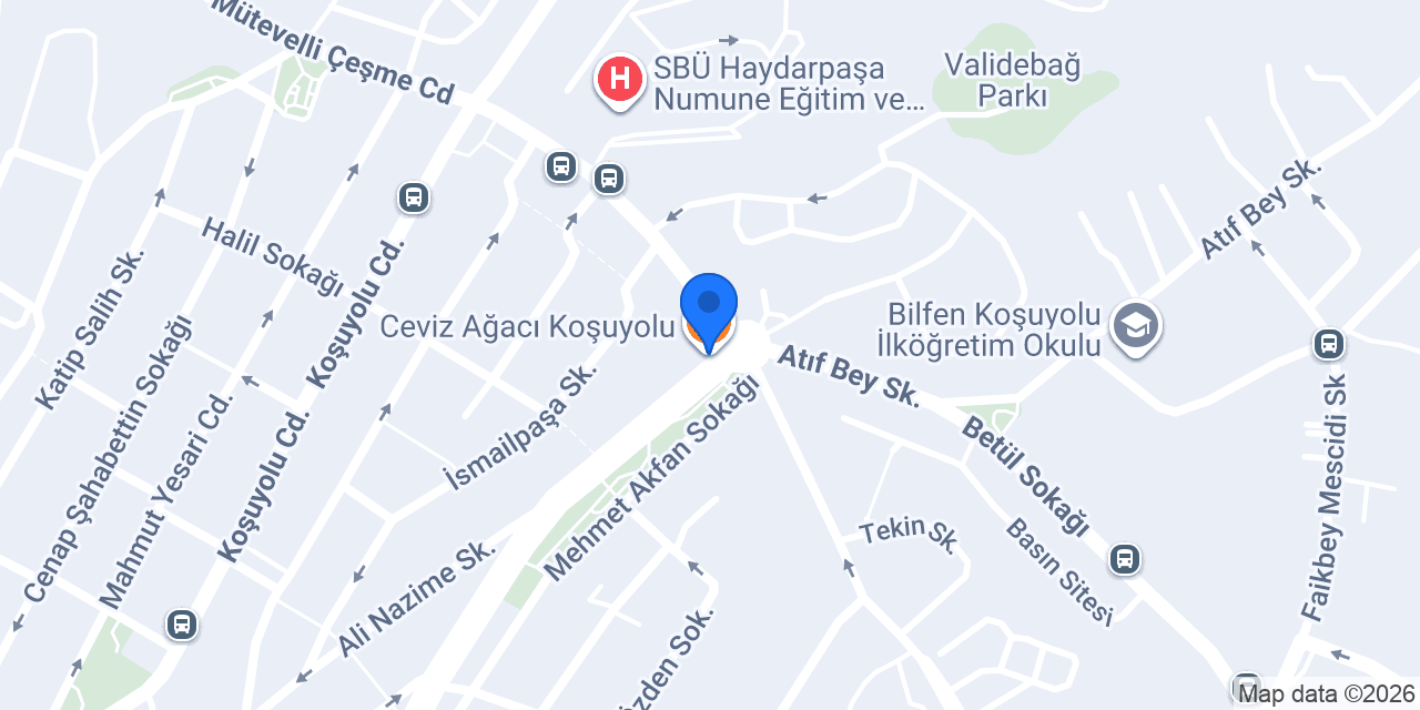 Ceviz Ağacı Koşuyolu konumu