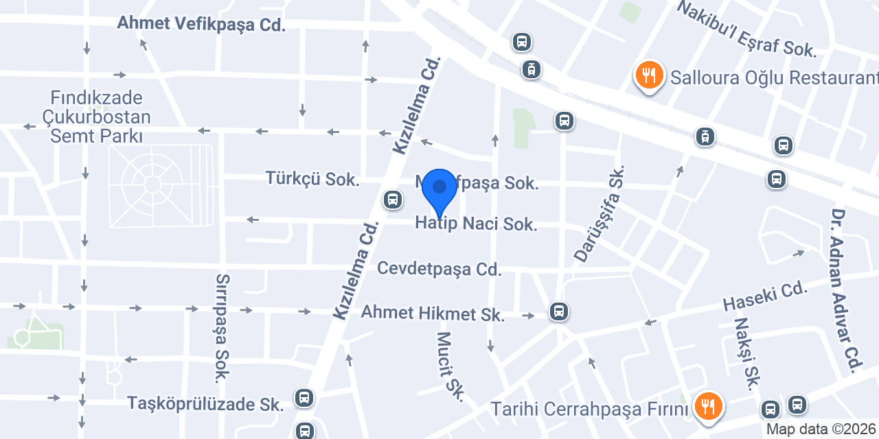 Erkek Berberi Tarkan konumu
