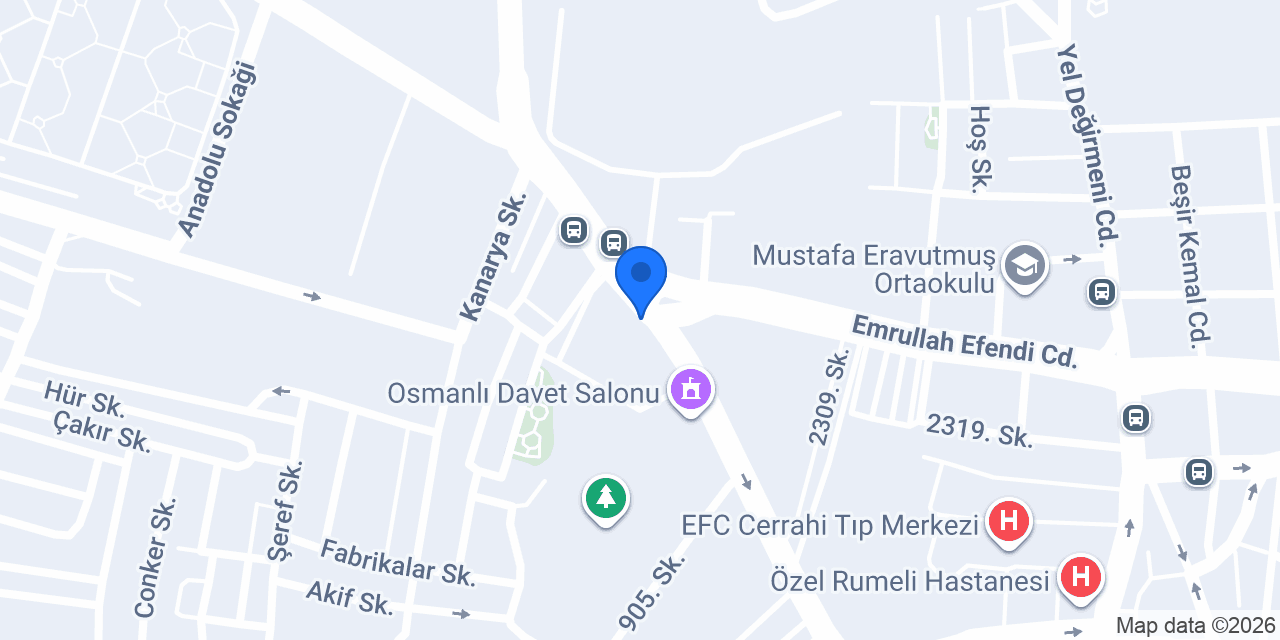 Başbuğ Japon & Ford konumu