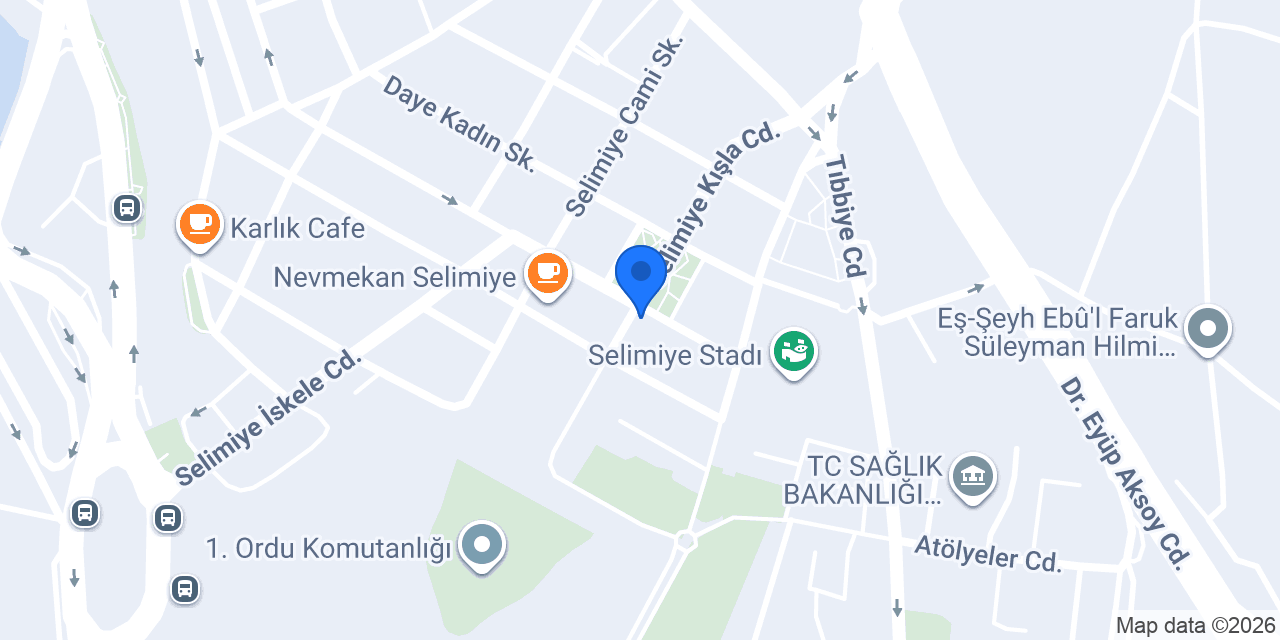 Ordu Eczanesi konumu