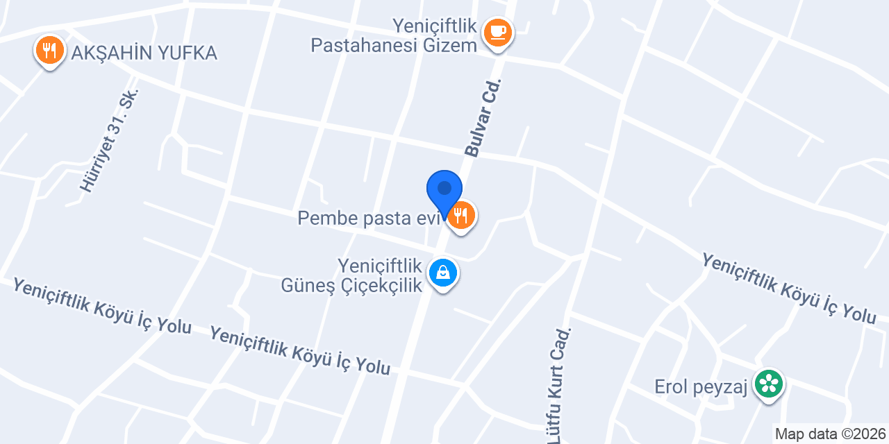 Aslan ısı doğalgaz konumu