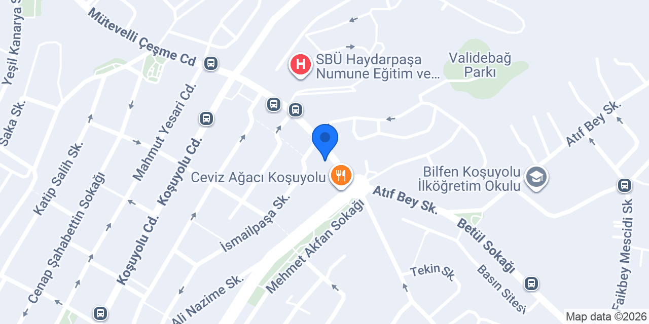 Dentgroup Koşuyolu Diş Kliniği konumu