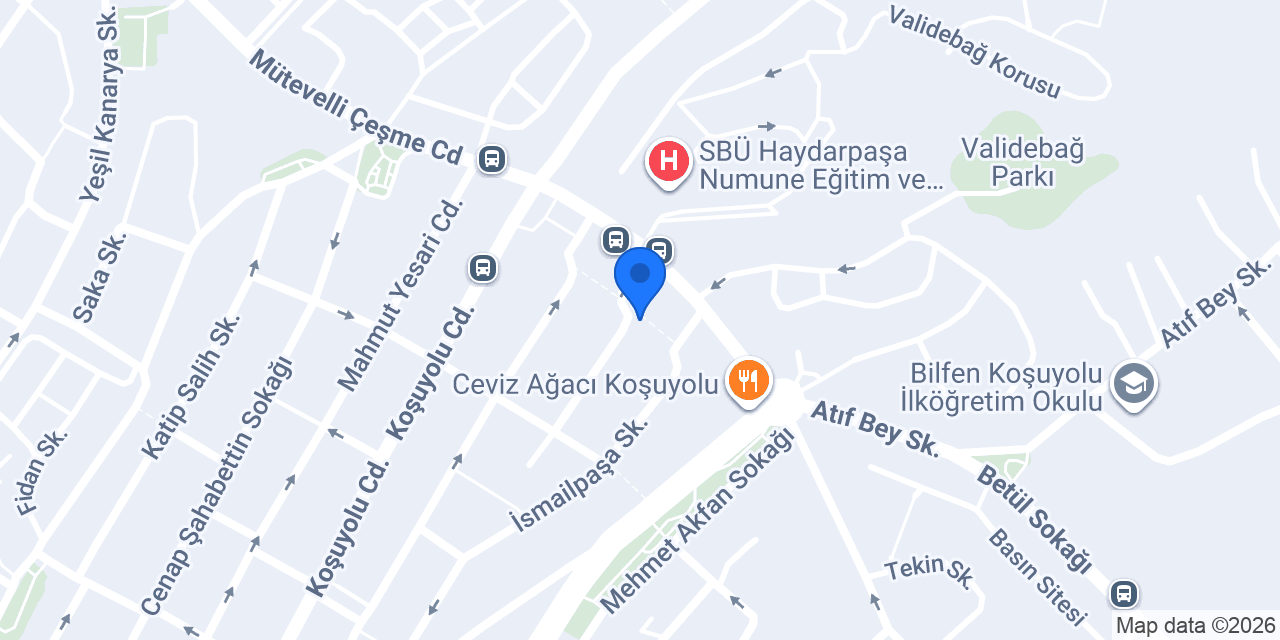 Dr. Alev Fırat konumu