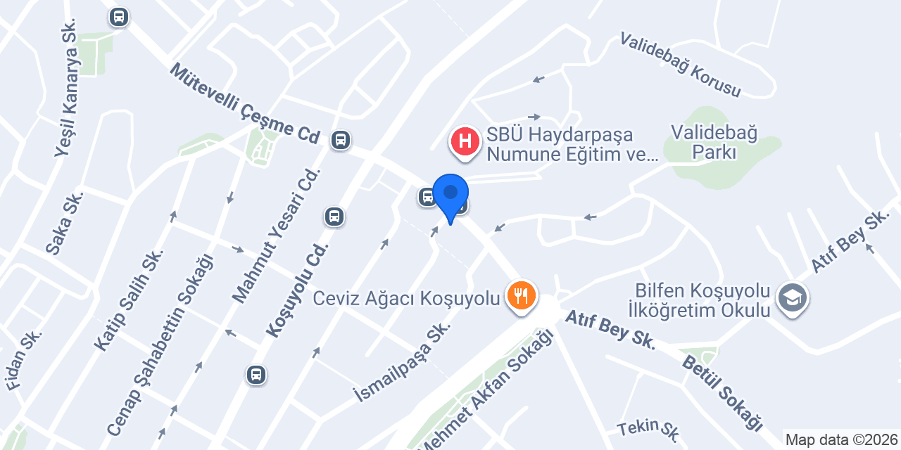 Eczane Doruk konumu