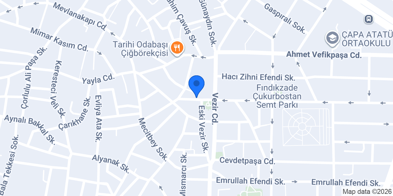 Dostel Veteriner Kliniği Çapa konumu