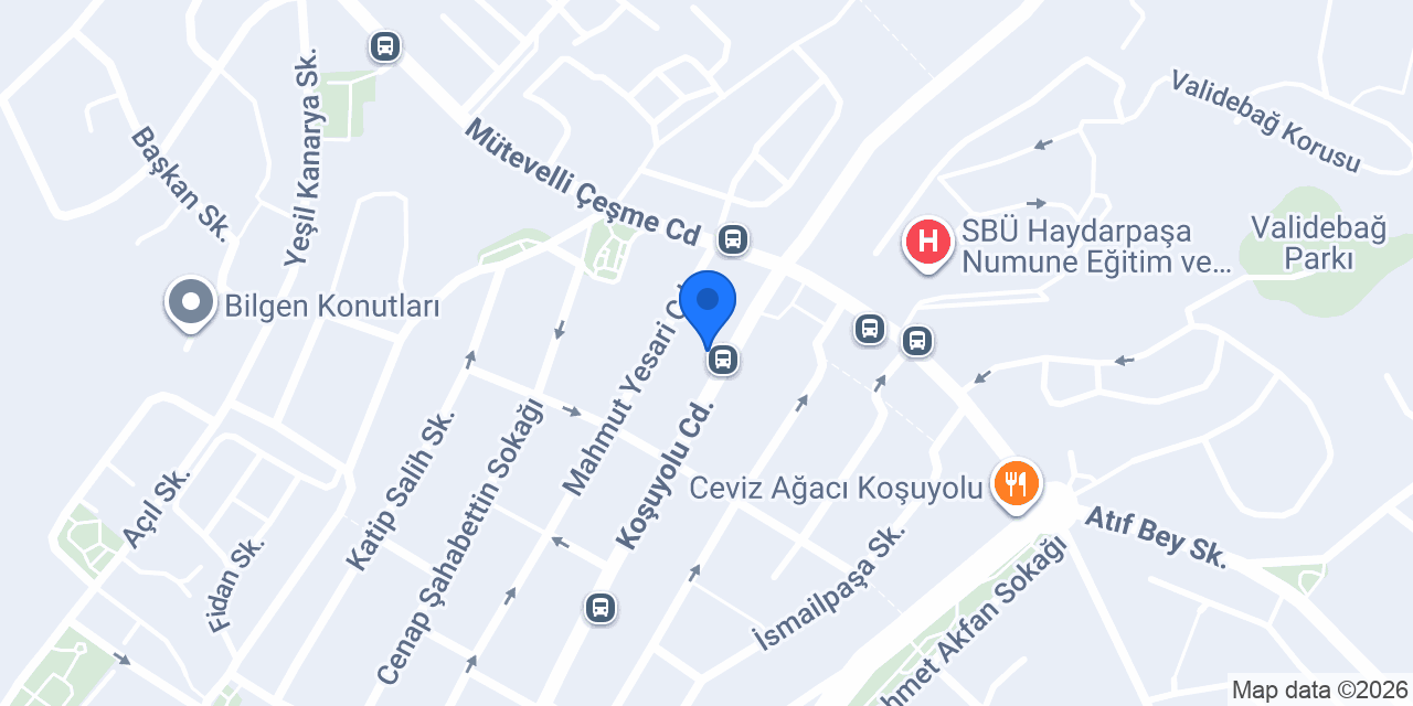 Borhan Chessmaster Academy / Koşuyolu konumu
