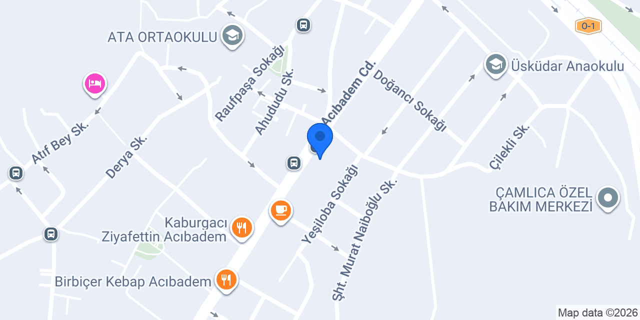 Bitki Dünyası - Hande Polat konumu
