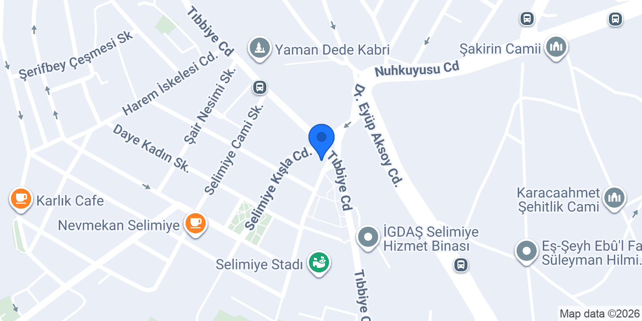 Aras Kargo Kızkulesi Şubesi konumu