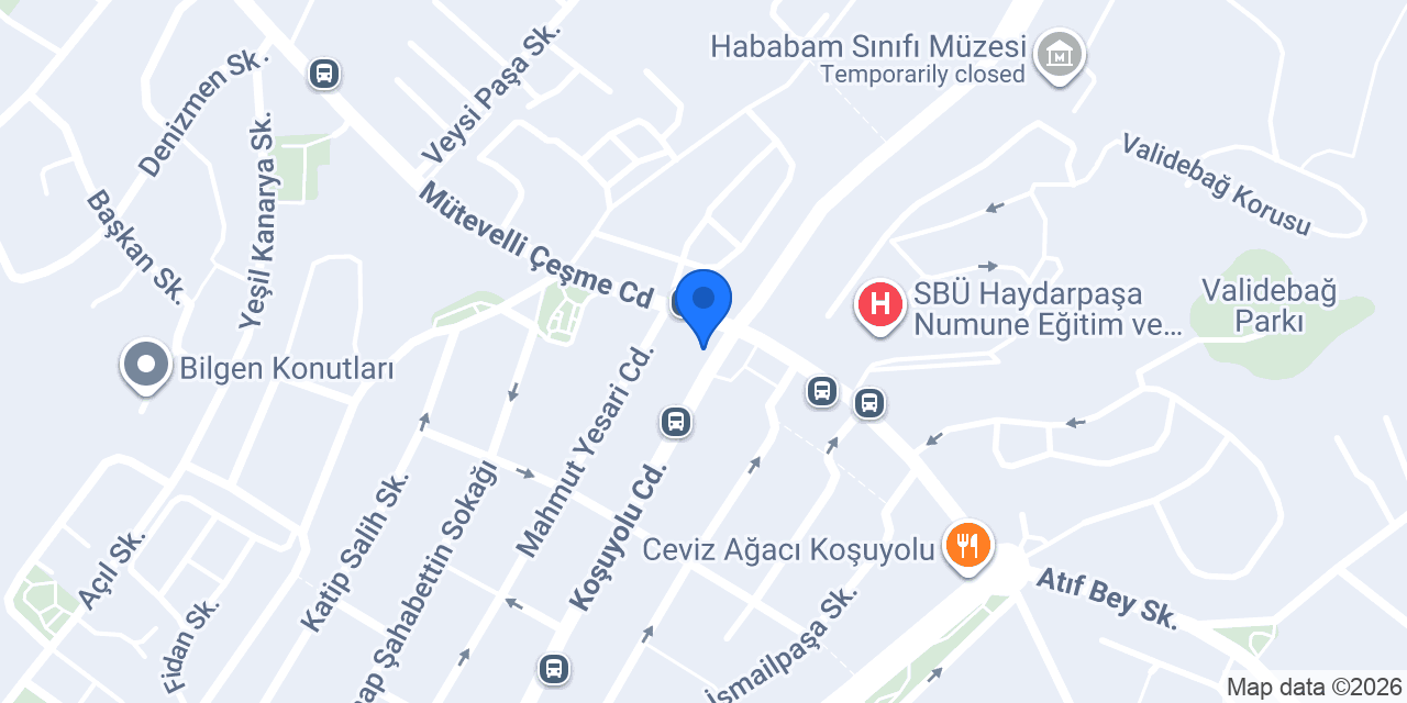 VİP FEN BİLİMLERİ konumu