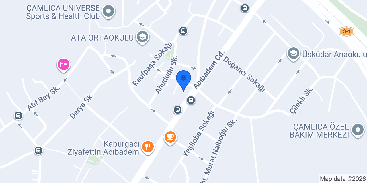 BERBER ACIBADEM konumu