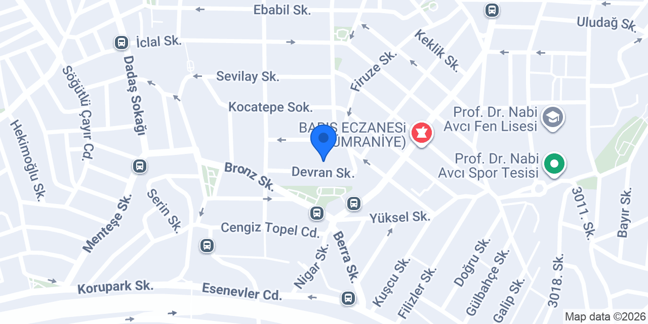 ÖZEL ENDERUN ANAOKULU konumu