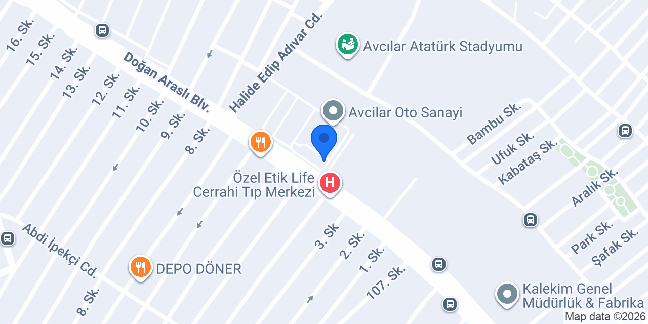 Aydın Oto Servis konumu