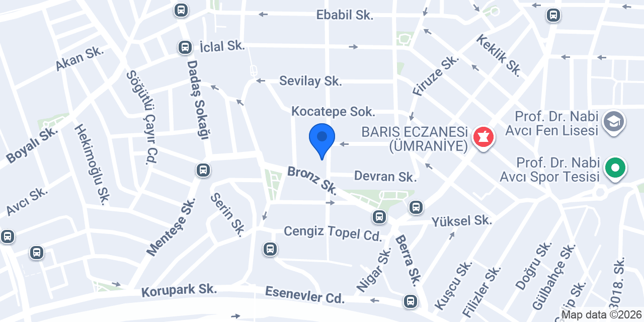 ESA OKULLARI konumu