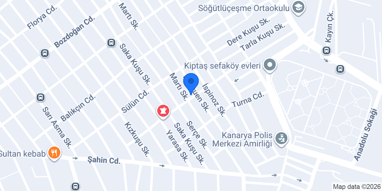 Doğan Auto konumu