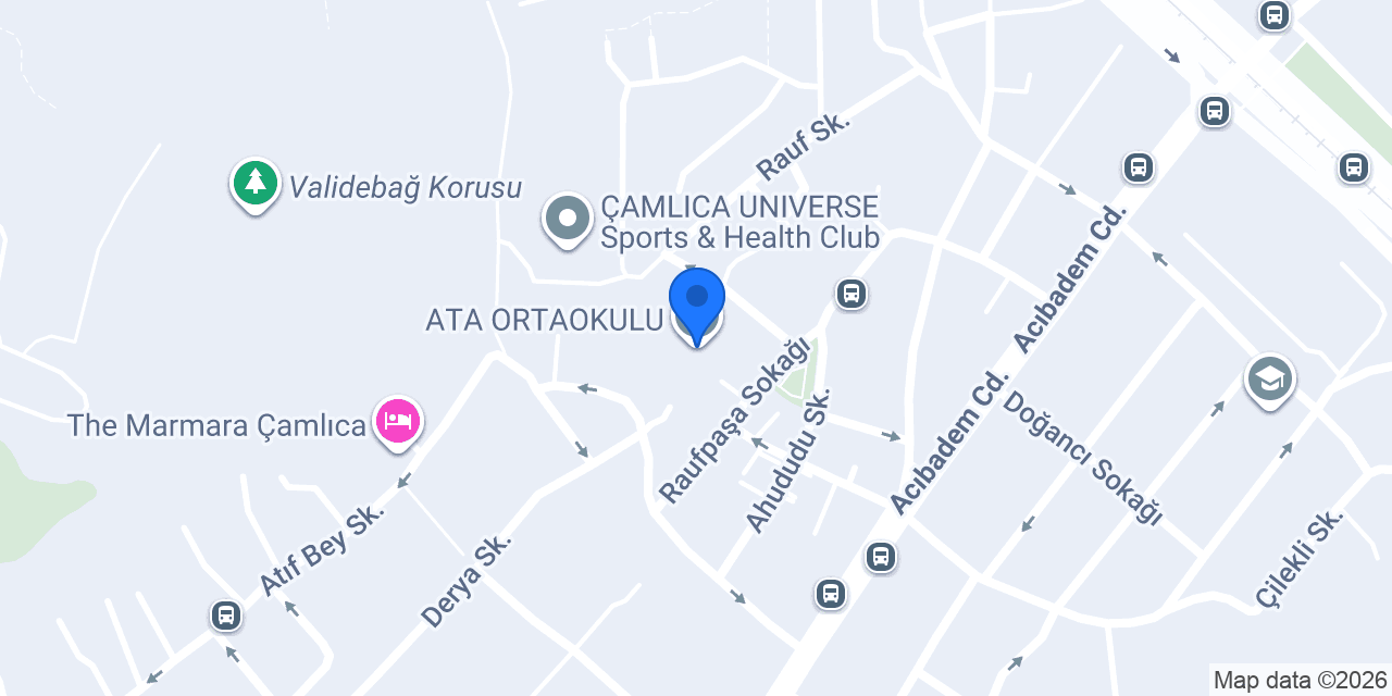 ATA ORTAOKULU konumu