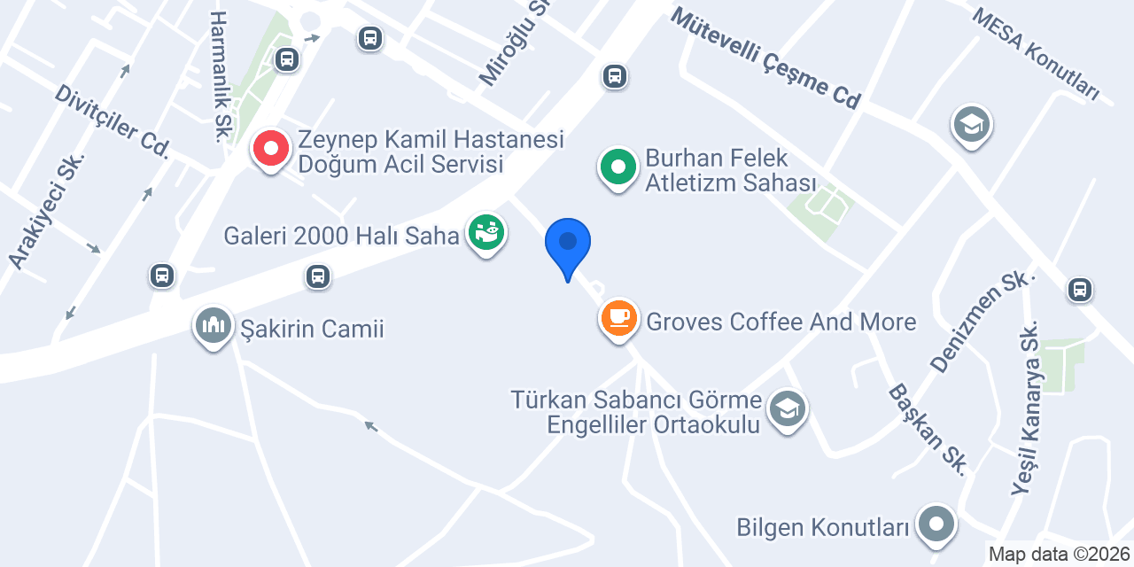 Söz auto konumu
