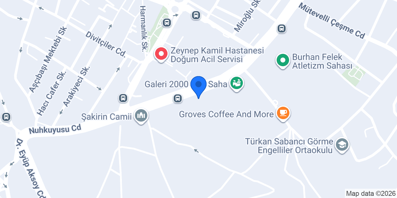 Opel Global konumu
