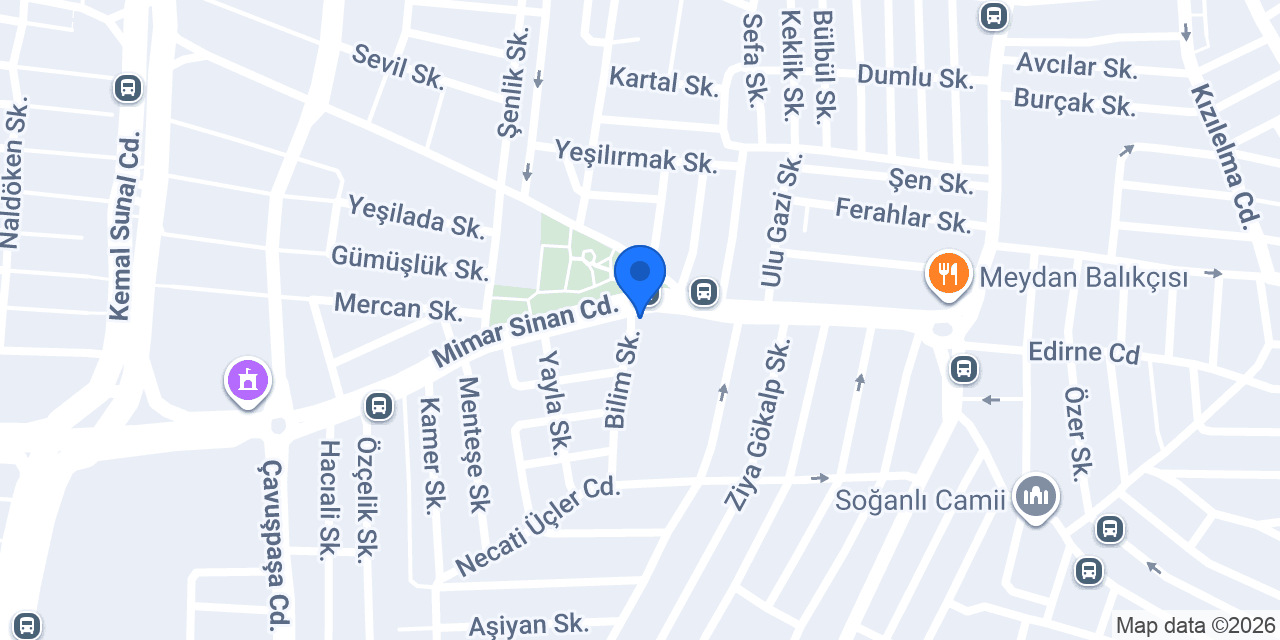Özel Diresiyon Dersi konumu