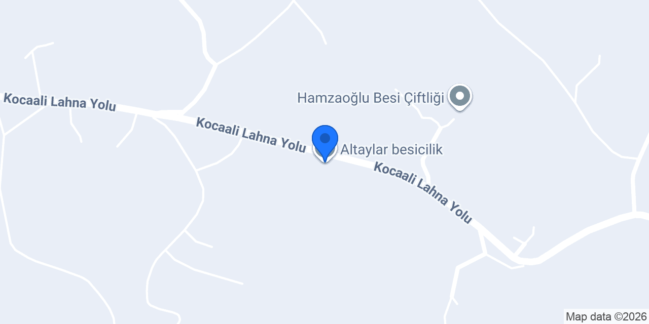 Altaylar besicilik konumu