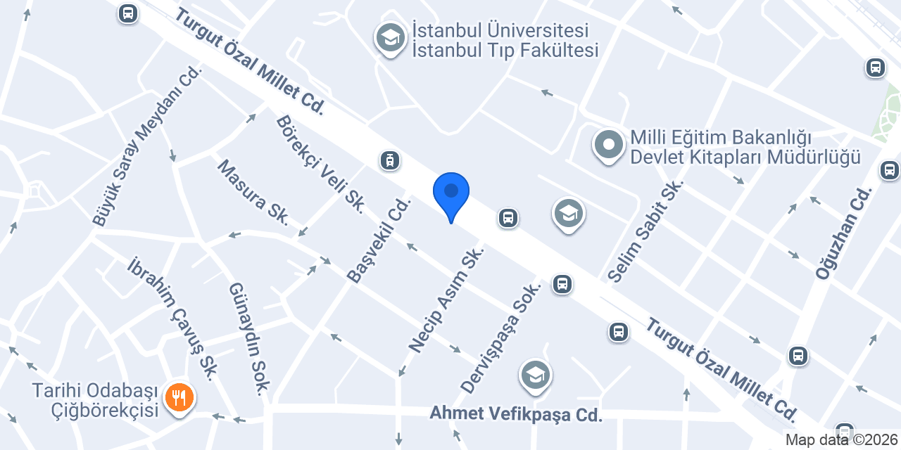NANDA Hemşirelik Tanıları konumu